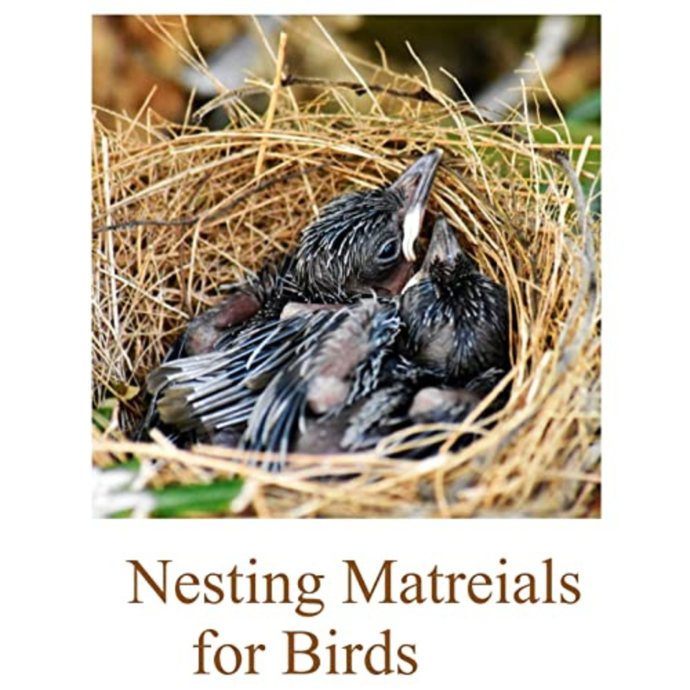EcoSoft Natural Coconut Fiber Nesting Material for All Birds and Small Animals Sufficient for 4 Bird Nests (Nest fibre) - 250g