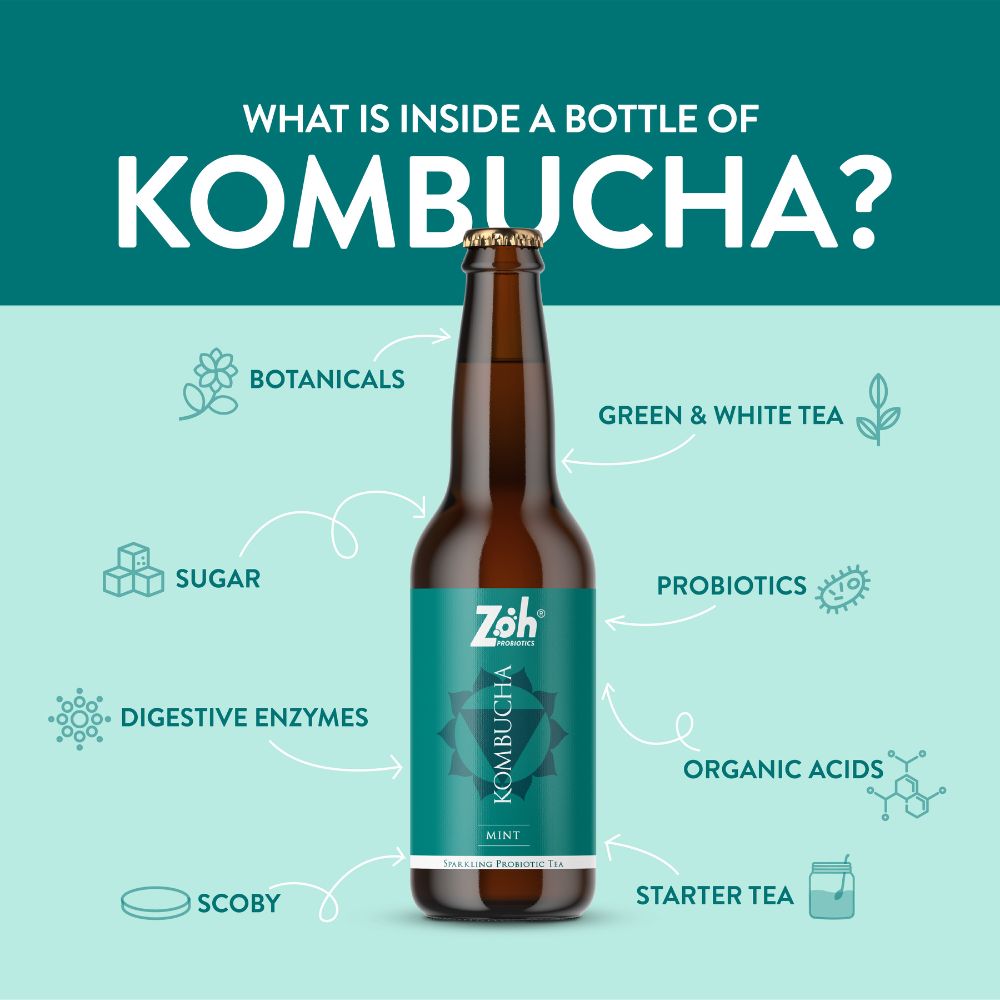 
                  
                    Zoh Probiotics Mint Kombucha (330ml)
                  
                