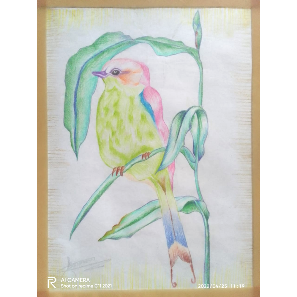 Parrot Wall Painting