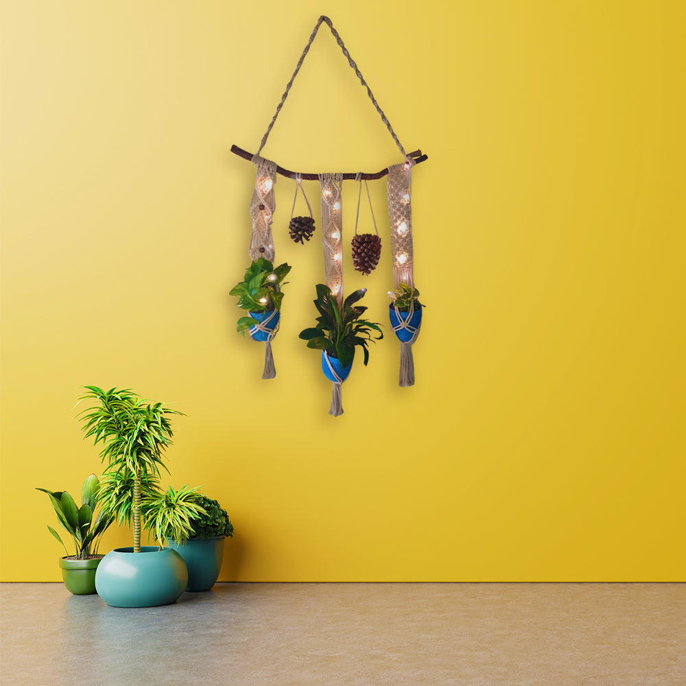 Macrame Plant Holder - Trio