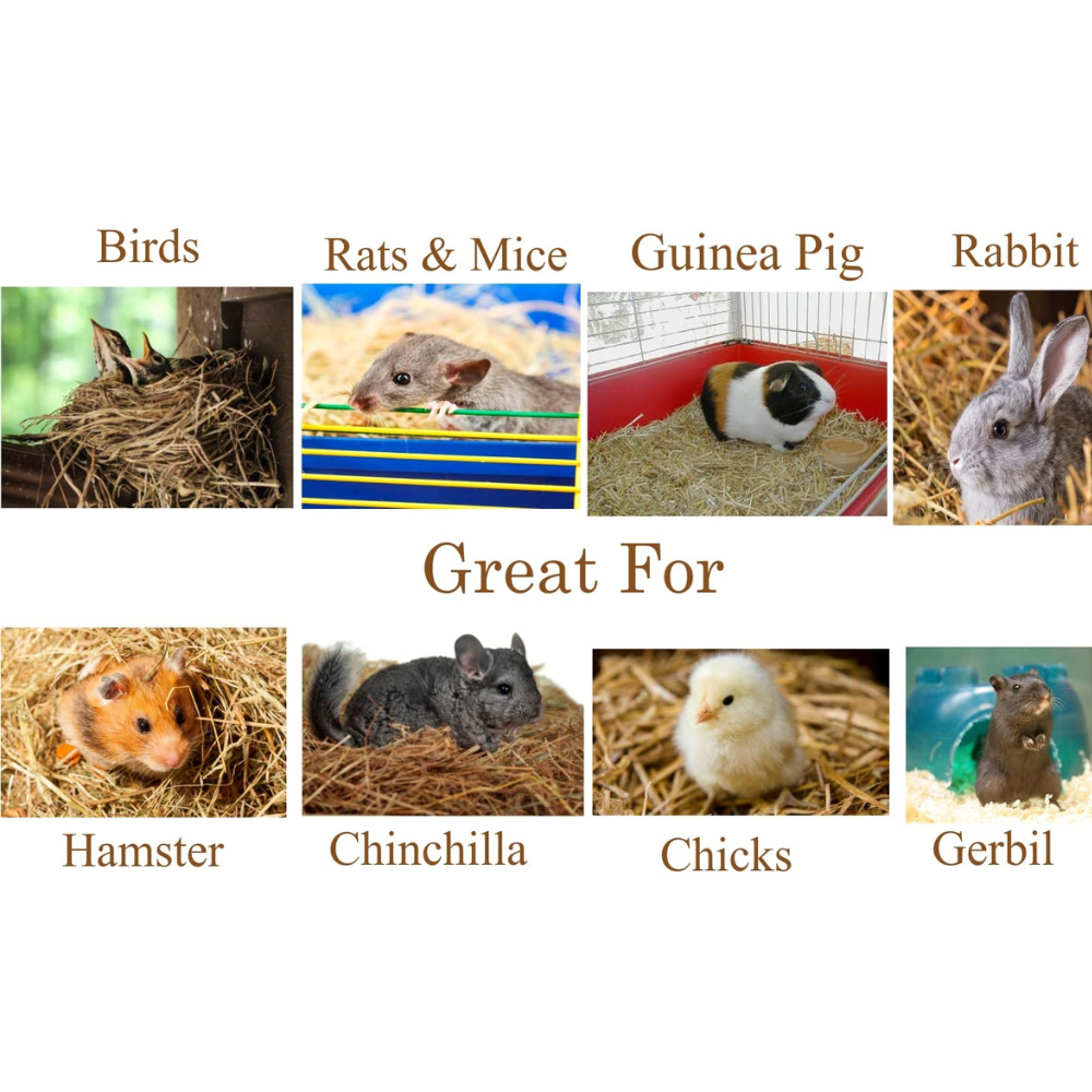 EcoSoft Natural Coconut Fiber Nesting Material for All Birds and Small Animals Sufficient for 4 Bird Nests (Nest fibre) - 250g