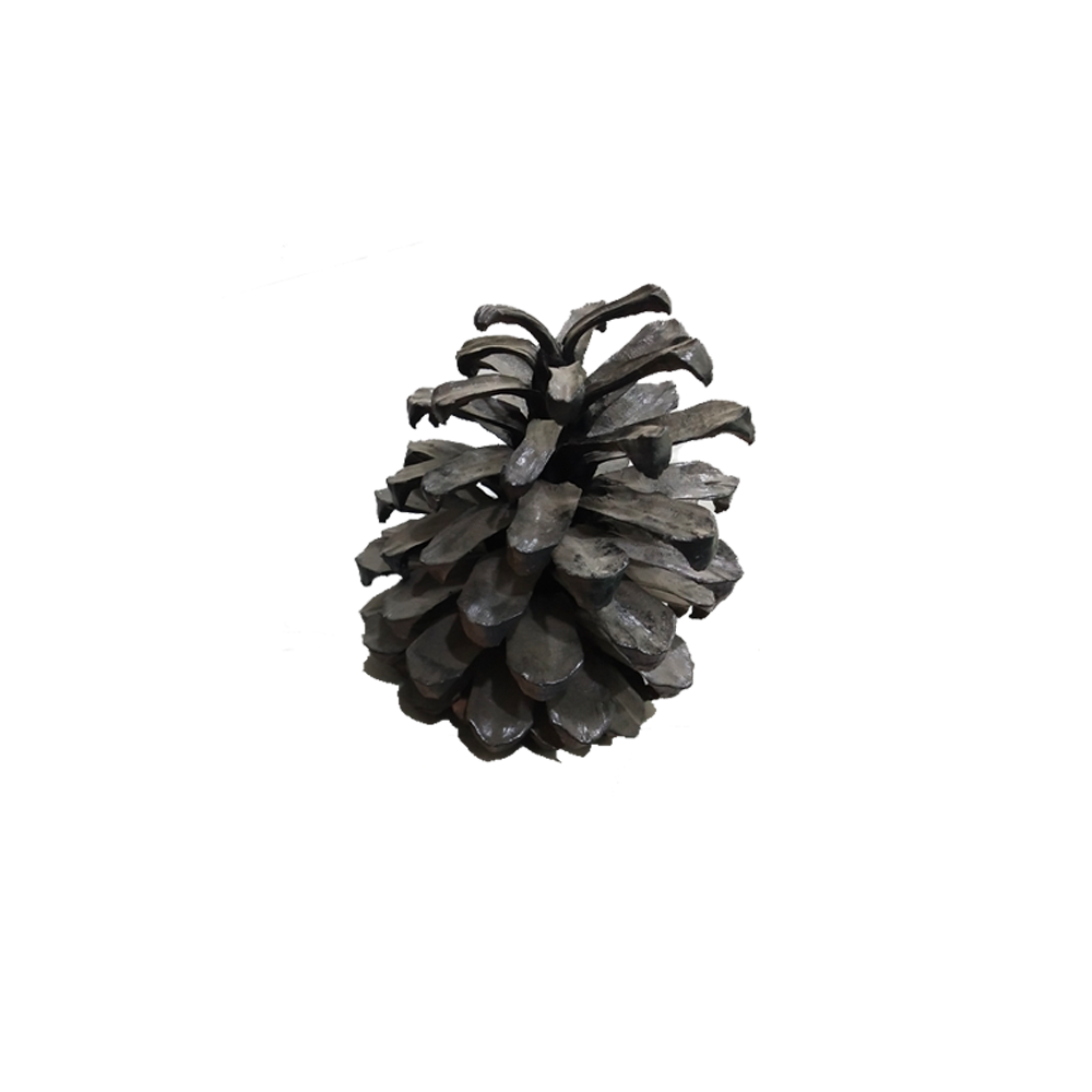 Decorative Pine Wood Cone (Set of 2)