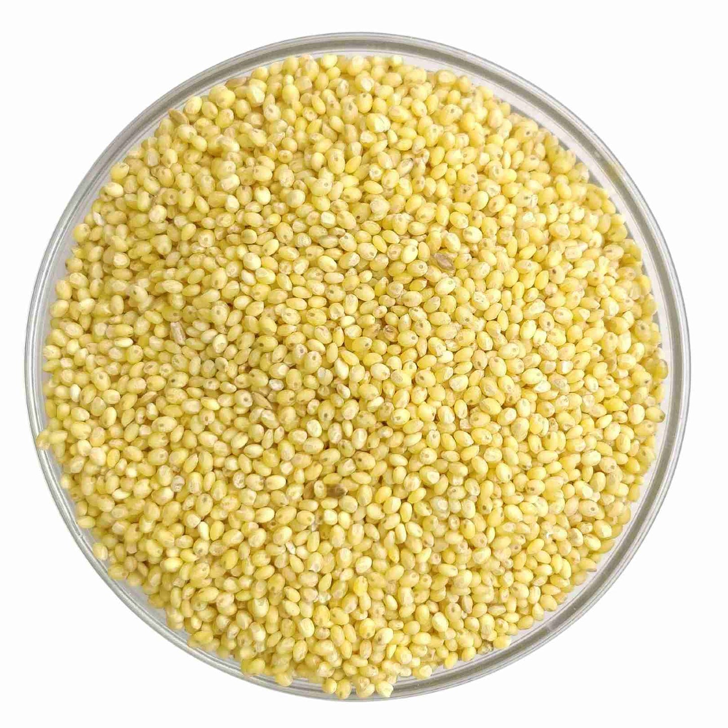 Millet Amma Proso Millet Grains Organic (500g)