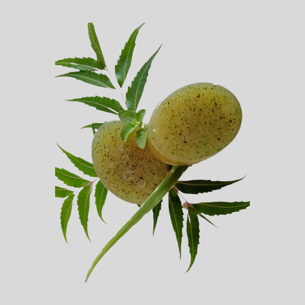 Mix Herbs Skin Purifying Soap (300g)