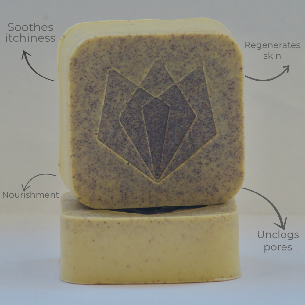 Go green Neem & Aloevera (100g)