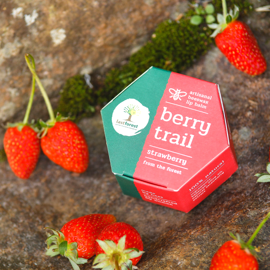 Last Forest Artisanal Beeswax Lip Balm