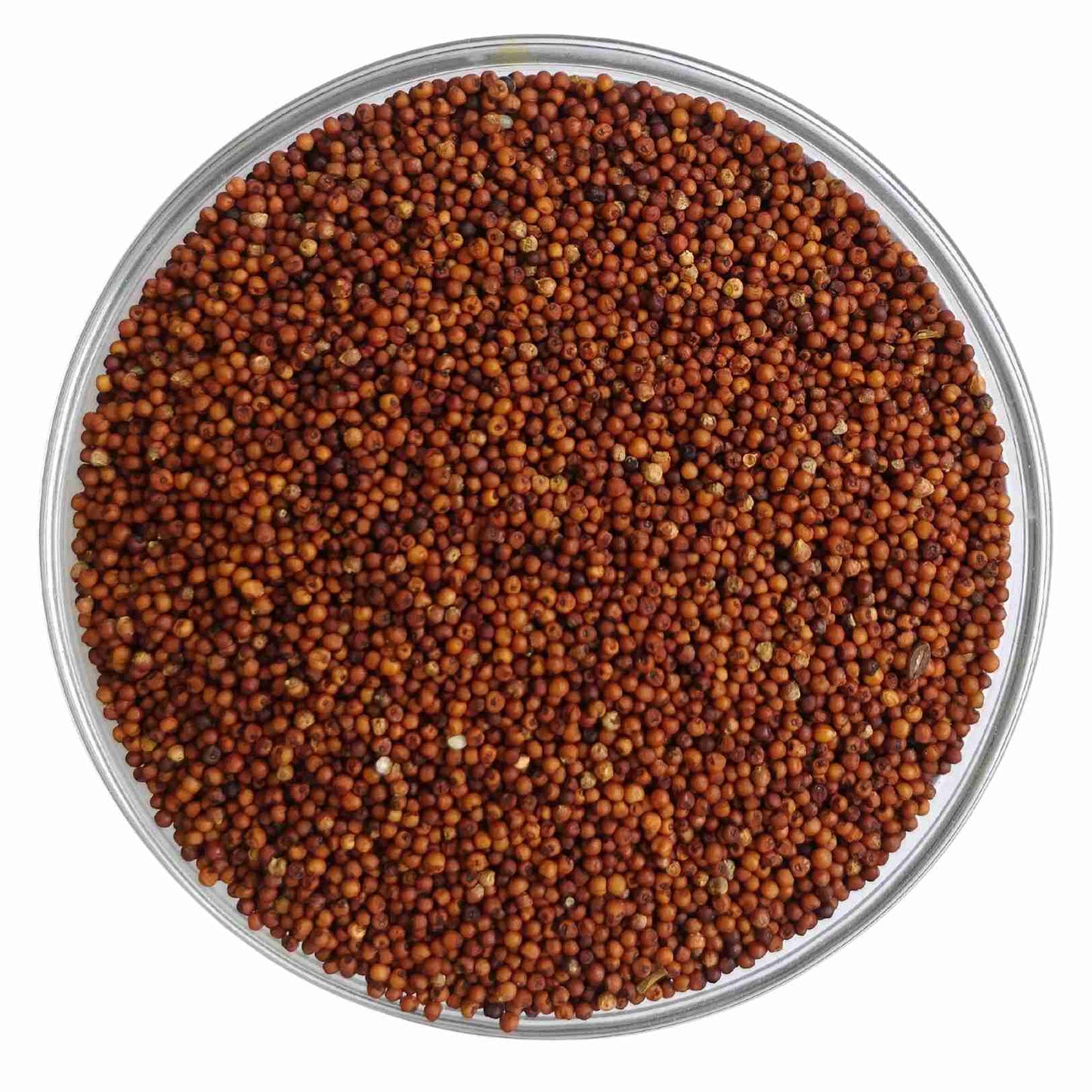 Millet Amma Ragi Grains (Finger Millet) Organic (500g)