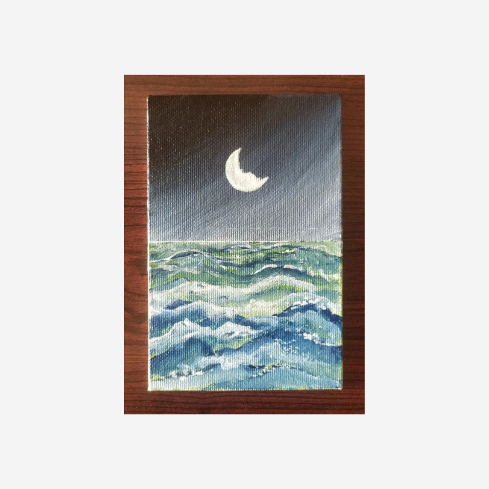 Night Sky Canvas Painting