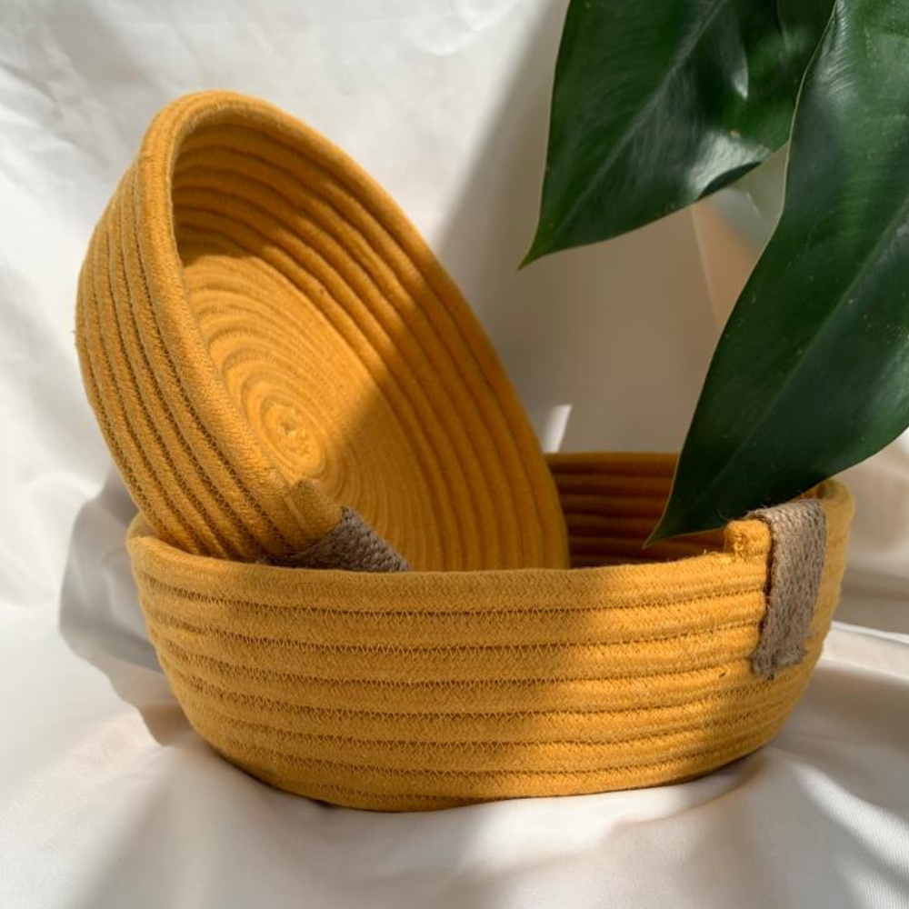 Organization Tray Set (Set of 2)