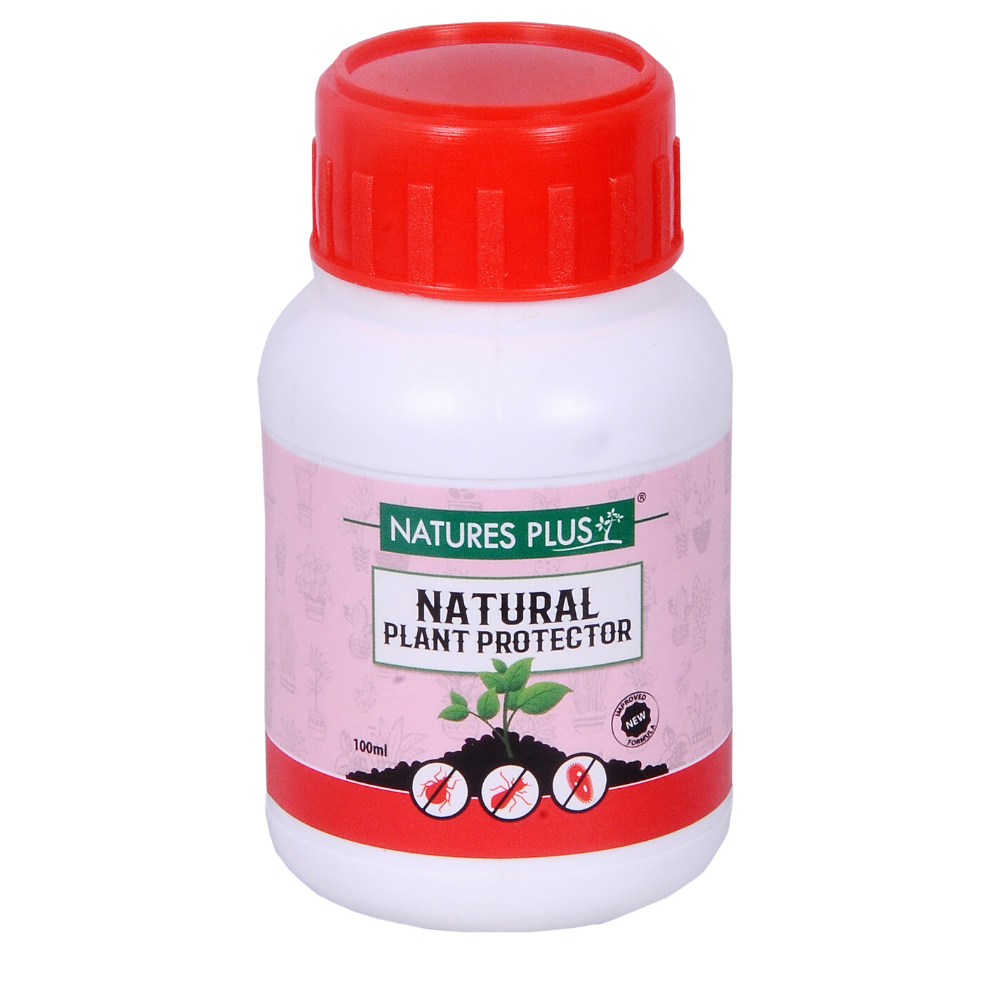 Plant Foods & Care Liquid Fertilizers (Pack of 4)