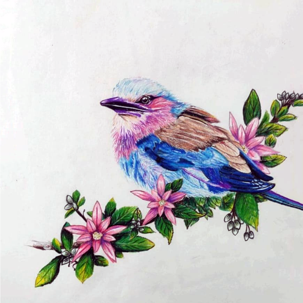 Handmade Bird Pencil Art