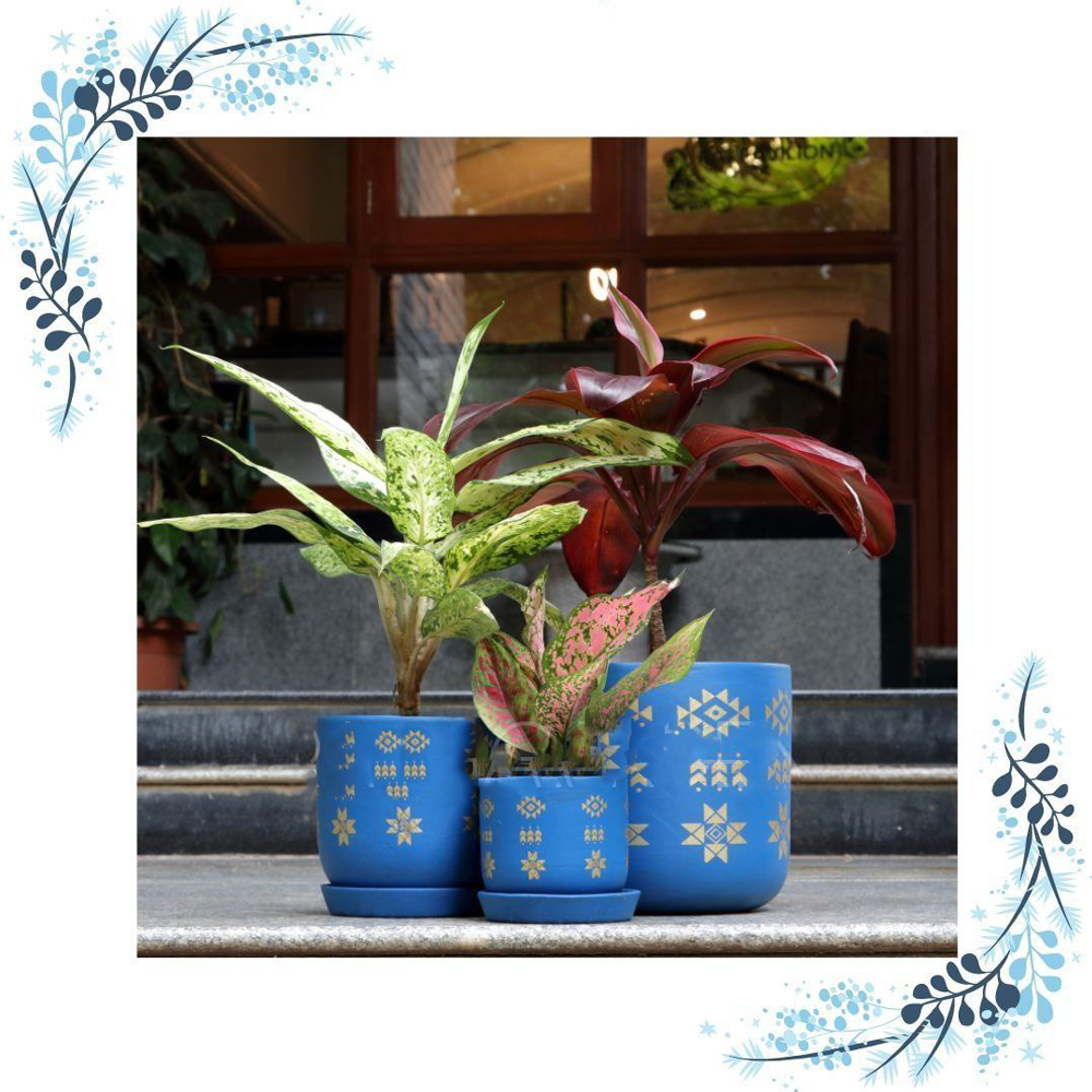 hand Painted Eco-friendly Terracotta Planters (Set of 3)