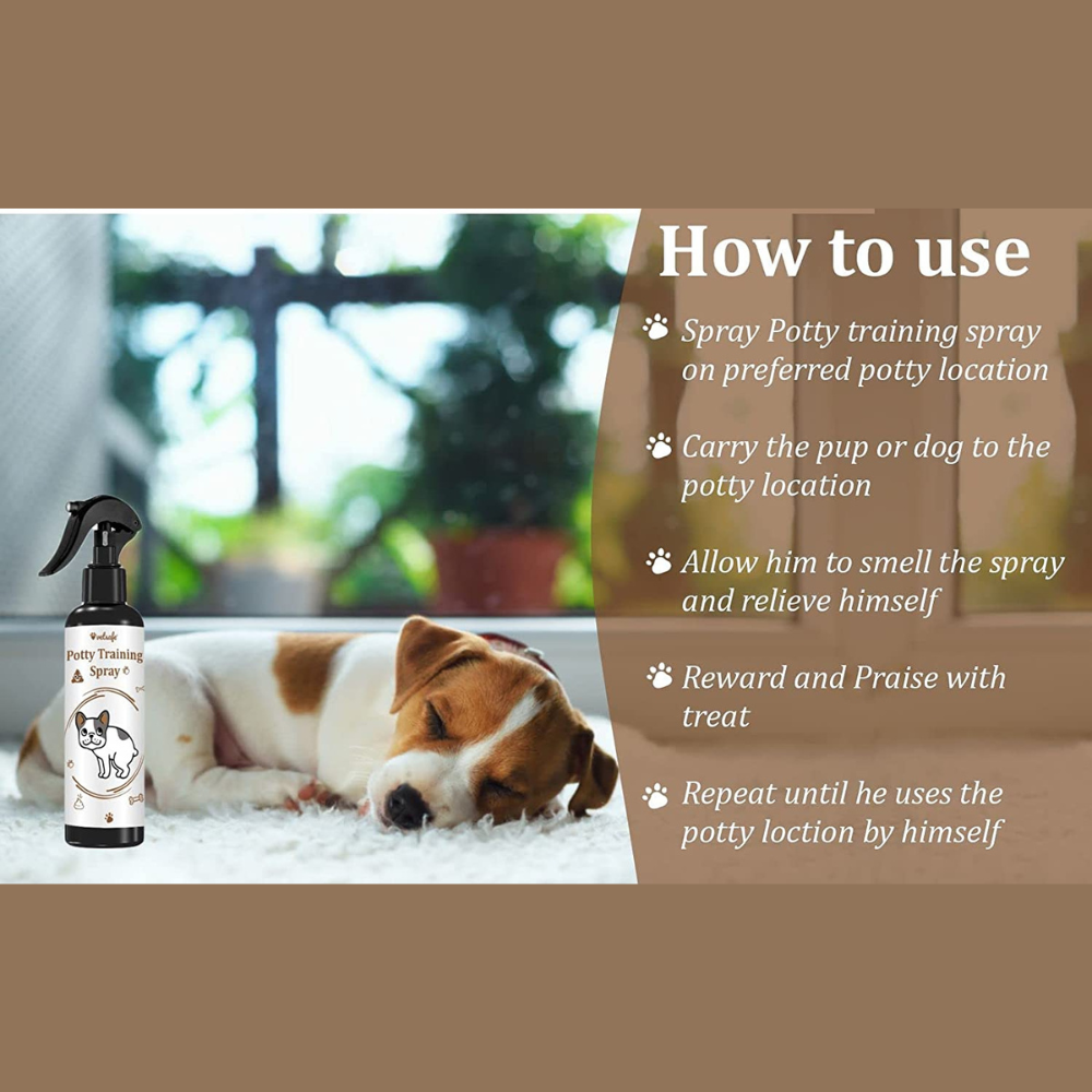 VetSafe® Potty Training Spray (200ml)