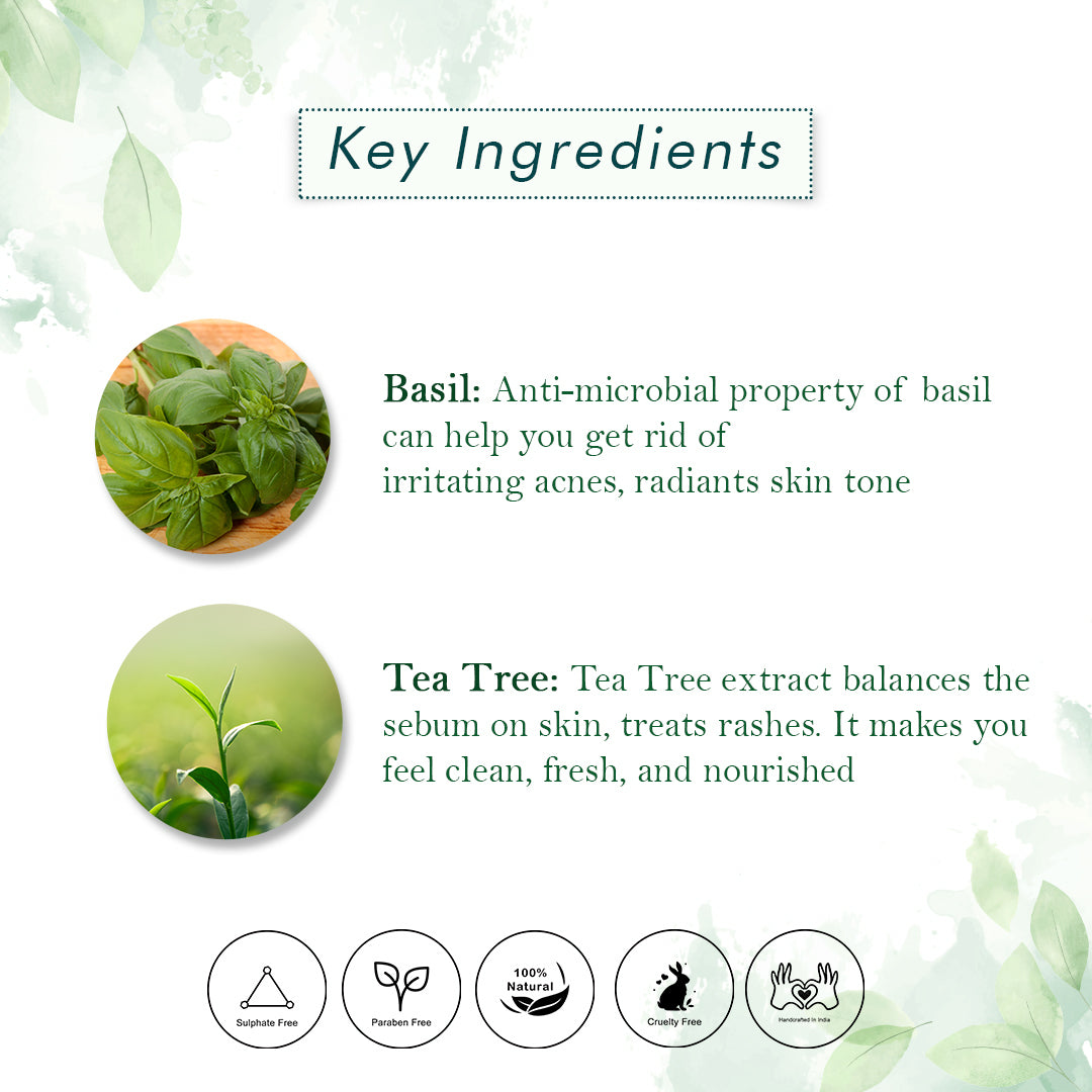 Tea Tree Body Cleansers Combo (300ml)