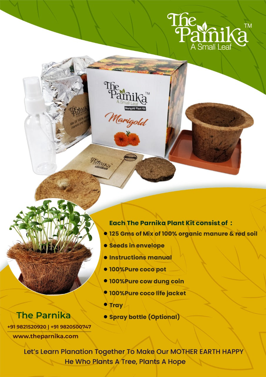 Marigold Plant Kit