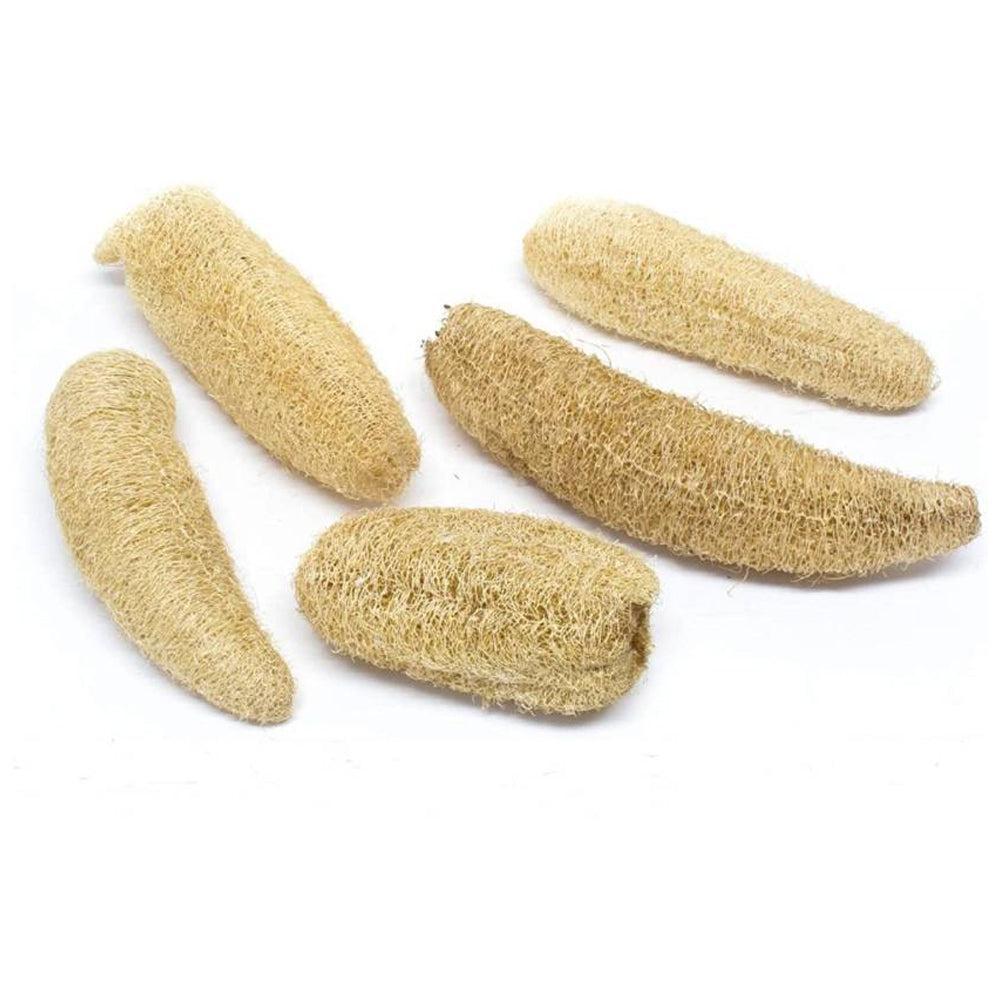 Natural Loofah Sponge Body Scrubber