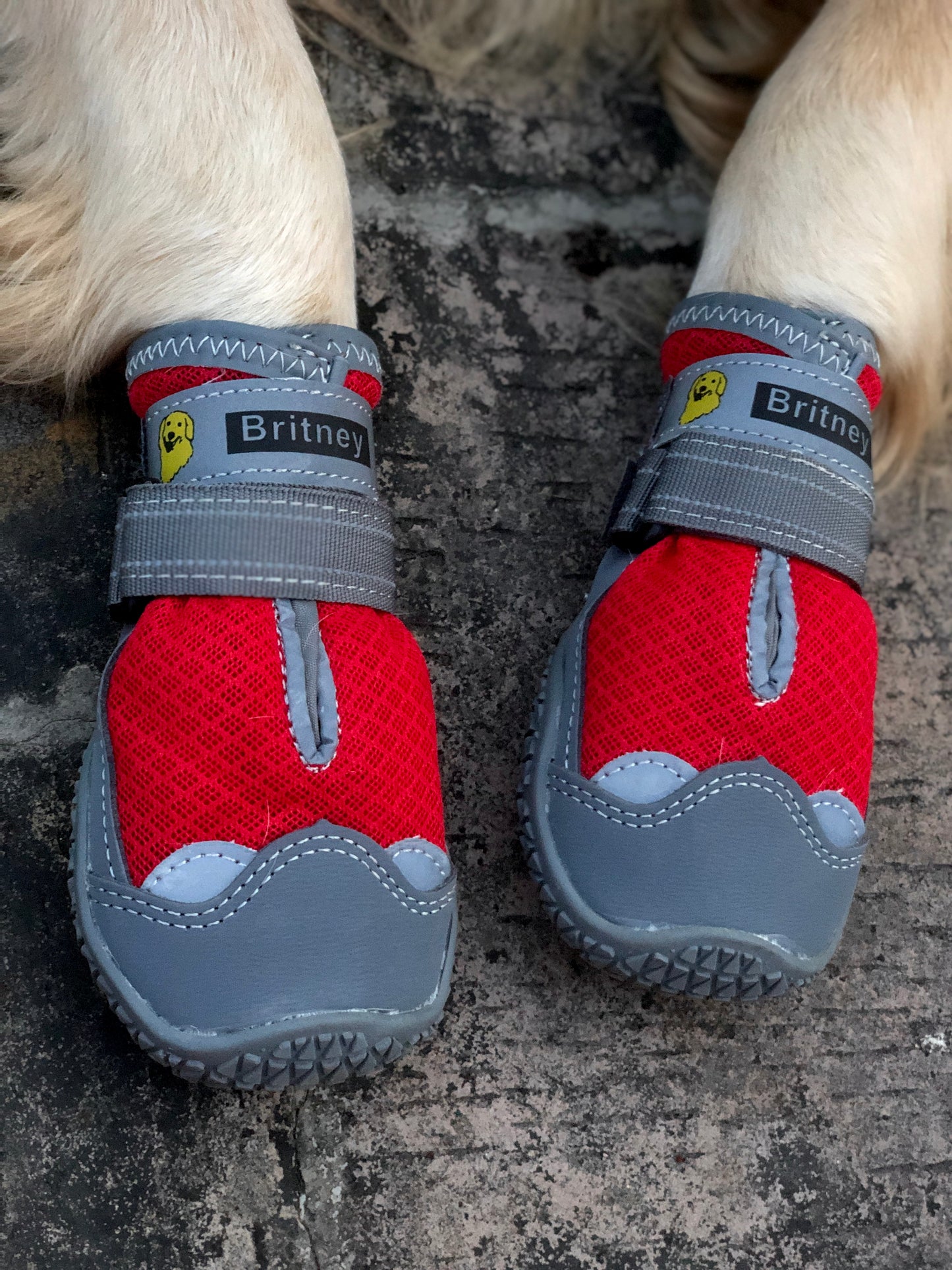 Dog Shoes