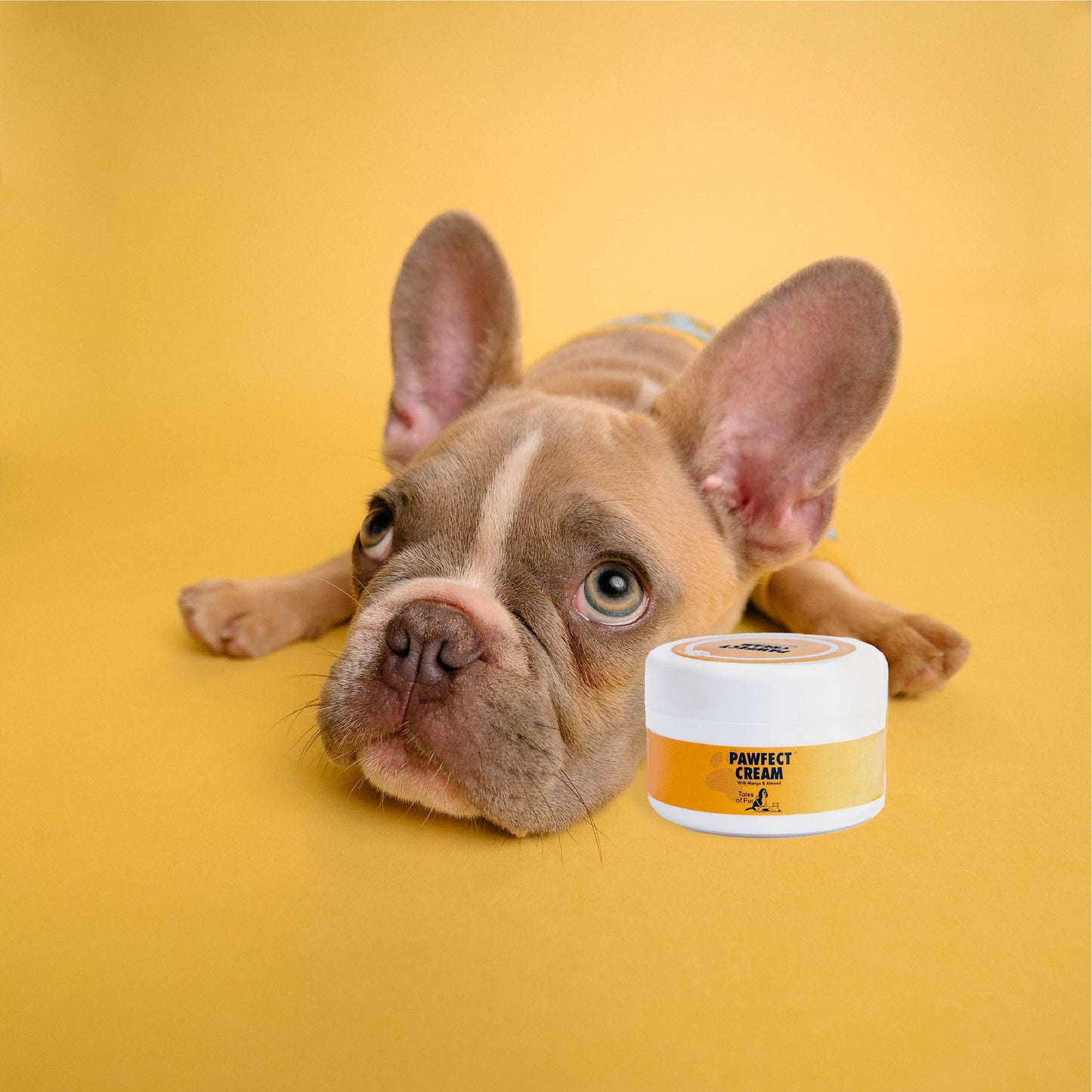 Pawfect Pawcream for Dogs & Cats (100g)