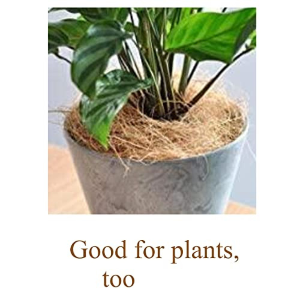 EcoSoft Natural Coconut Fiber Nesting Material for All Birds and Small Animals Sufficient for 4 Bird Nests (Nest fibre) - 250g