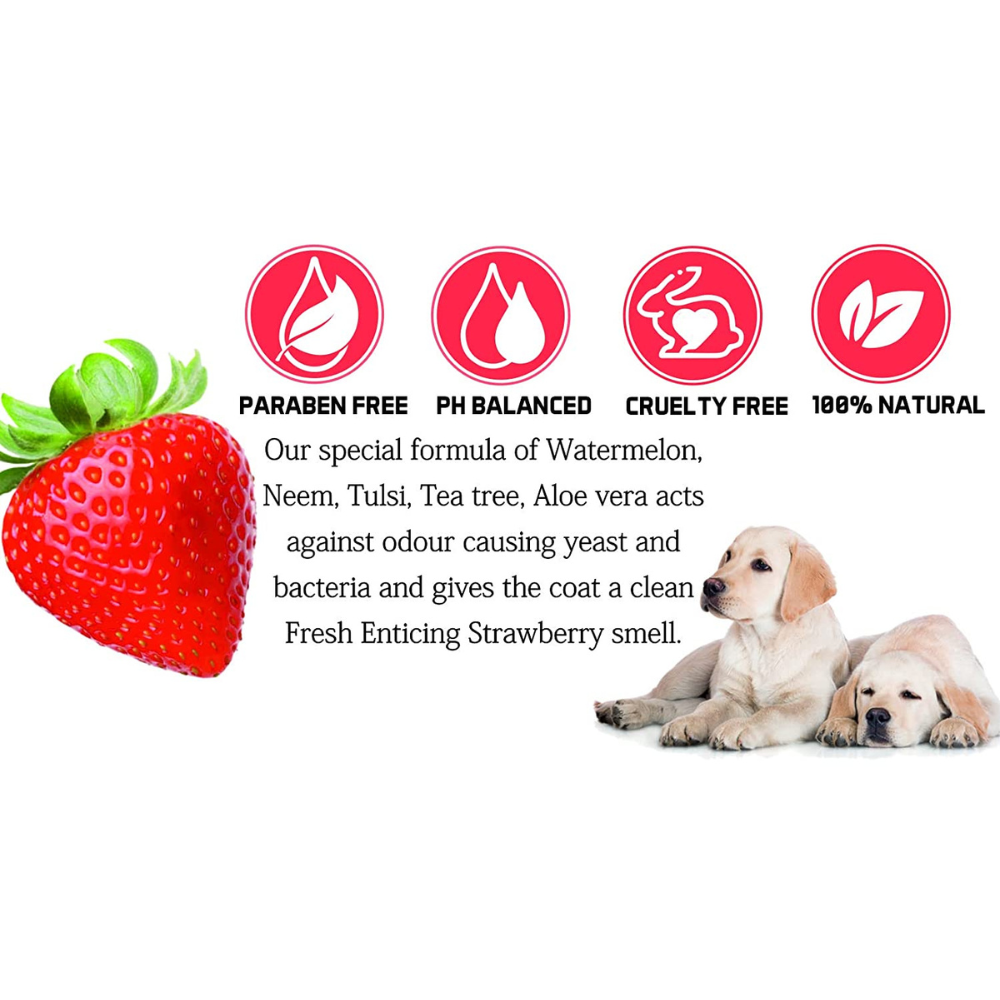 No-O™ Odour Control Shampoo (500ml)