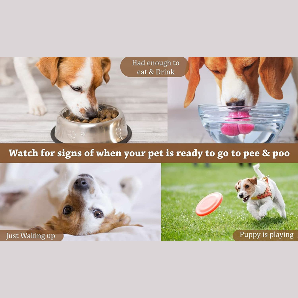 VetSafe® Potty Training Spray (200ml)