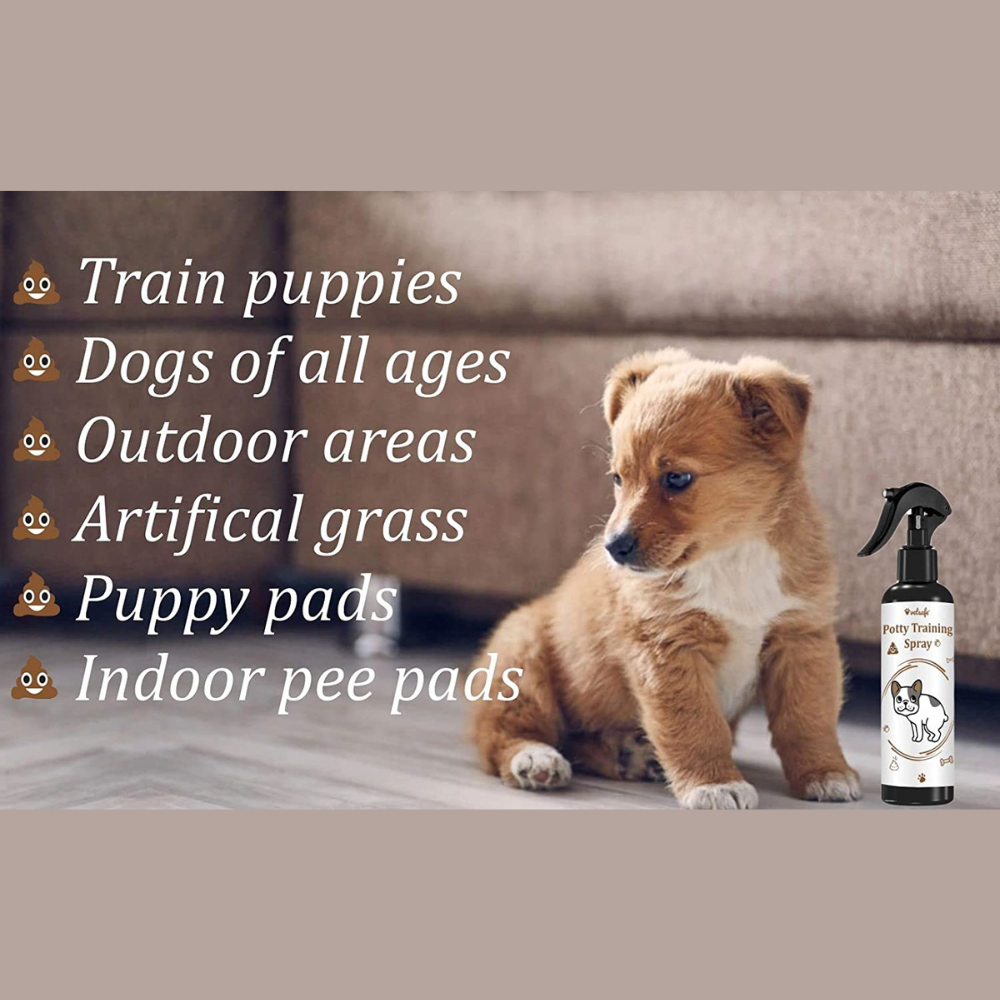 VetSafe® Potty Training Spray (200ml)