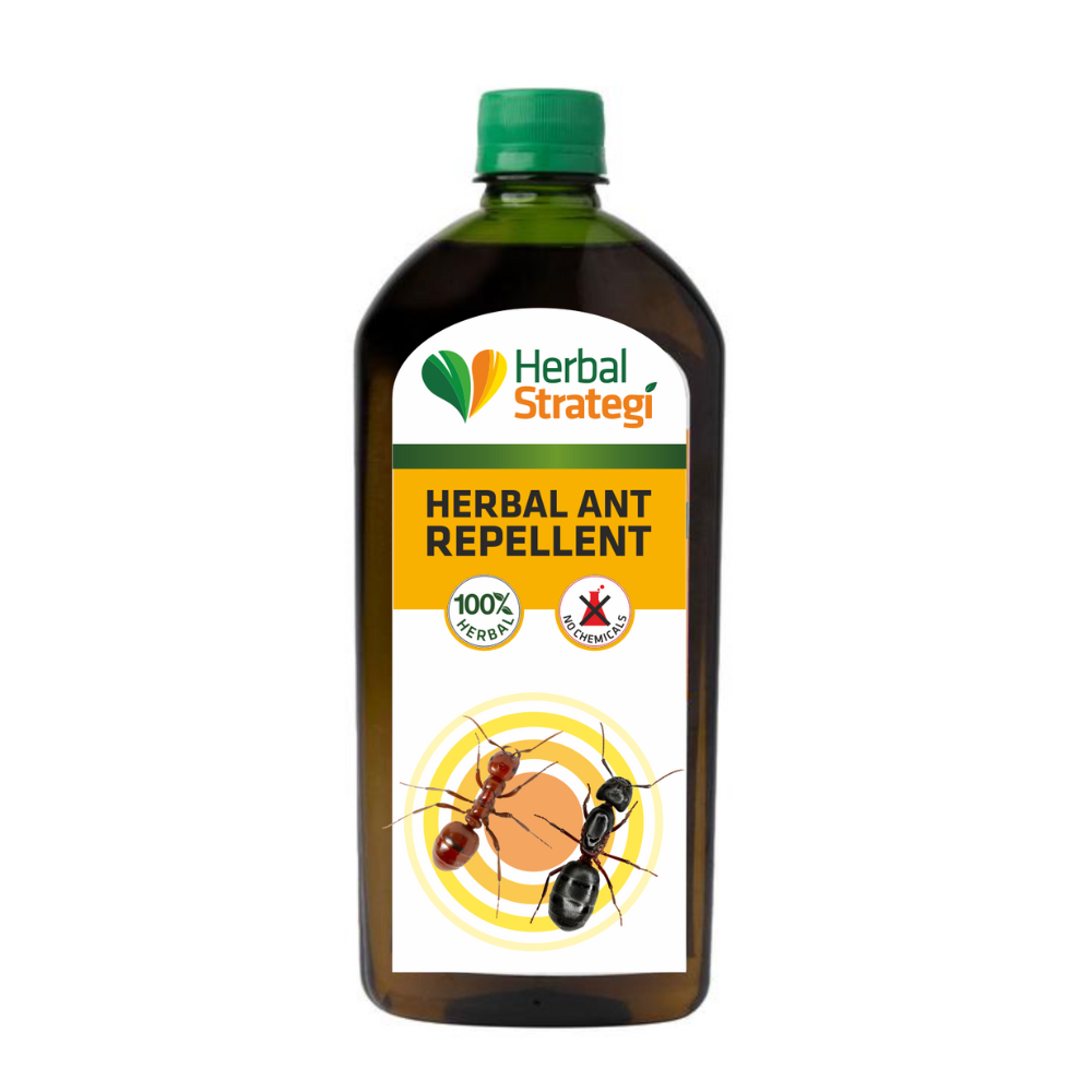 Herbal Strategi Ant Repellent
