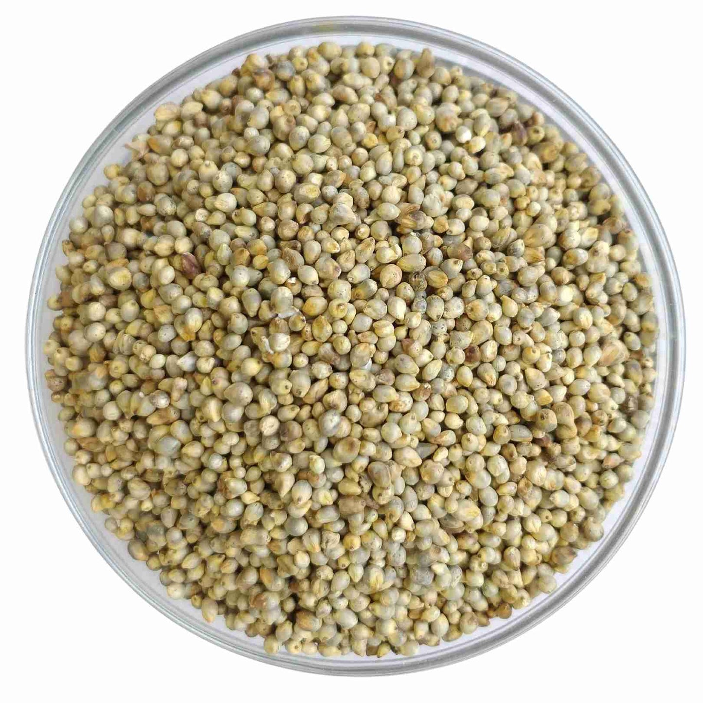 Millet Amma Bajra (Pearl Millet) Organic (500g)