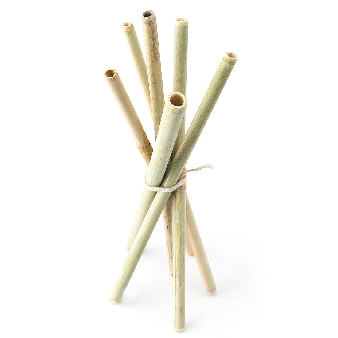 Goli Soda Reusable Bamboo Straws With Easy Carry Travel Pouch (Set of 6)
