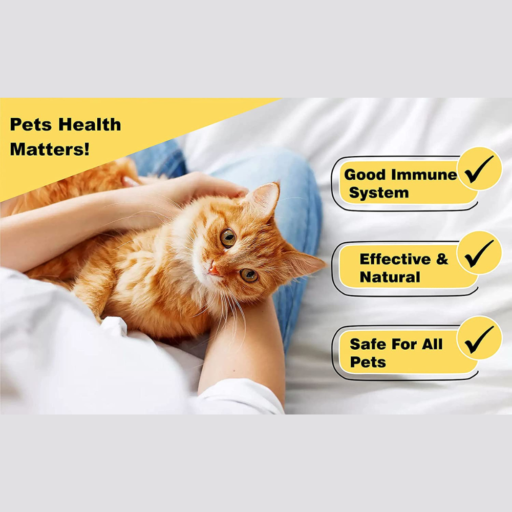 VetSafe Dog Supplement for Well Being (200ml)