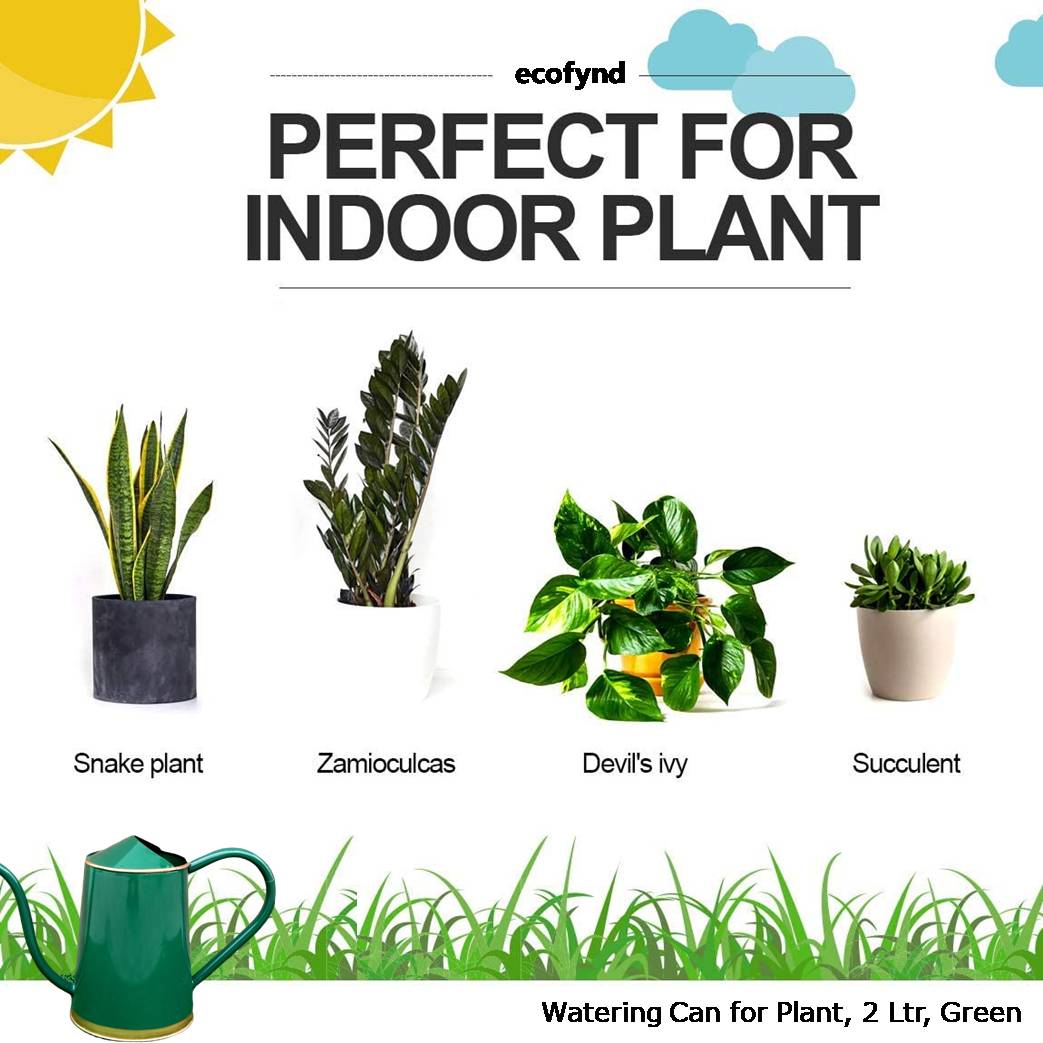 ecofynd Green 1.5 Litre Metal Watering Can