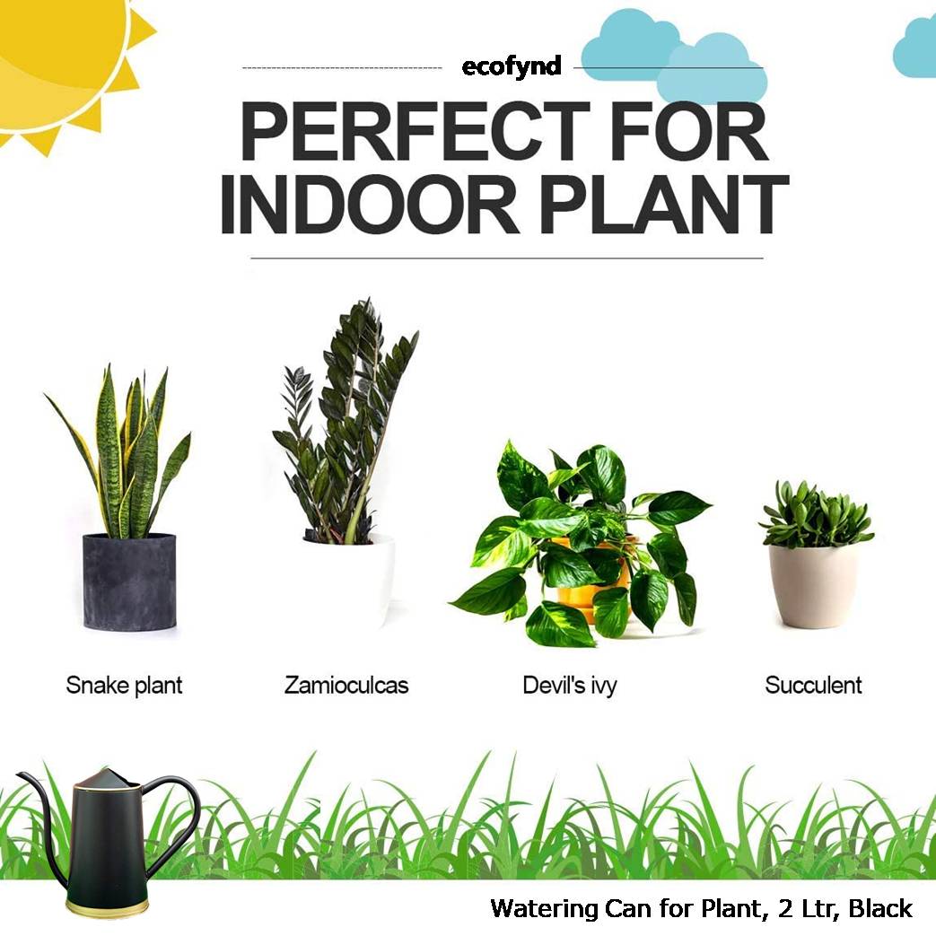 ecofynd Black 1.5L Metal Watering