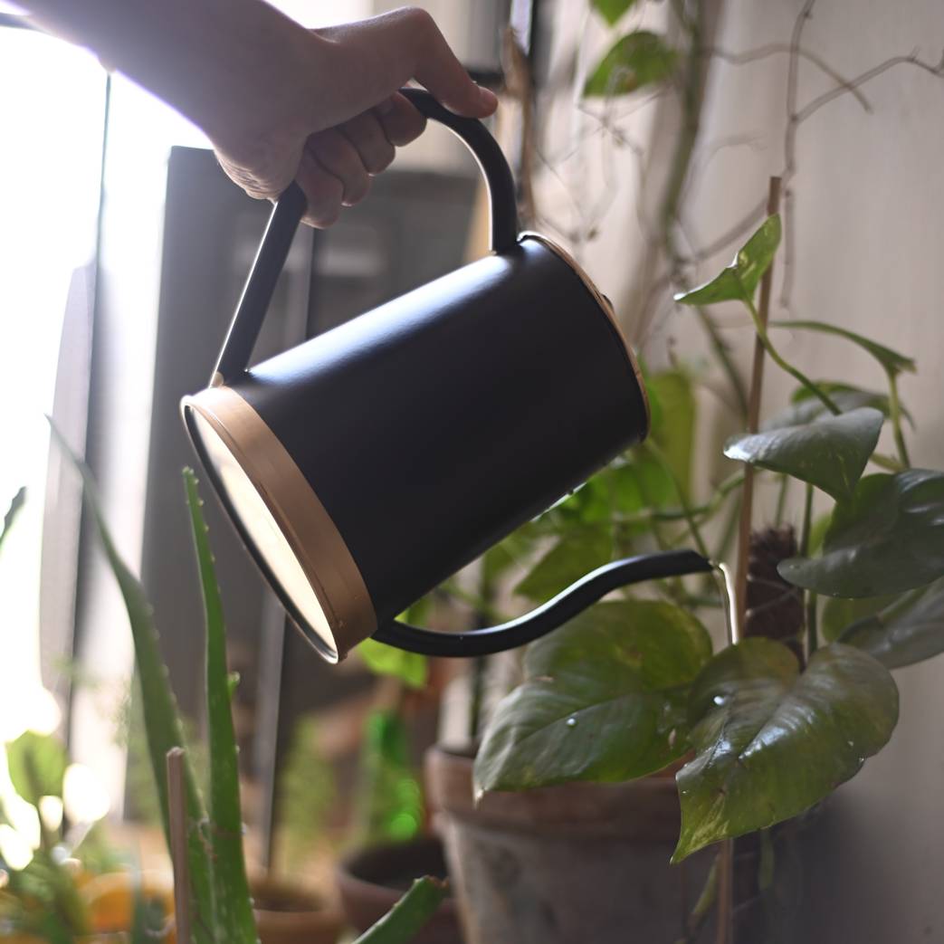 ecofynd Black 1.5L Metal Watering