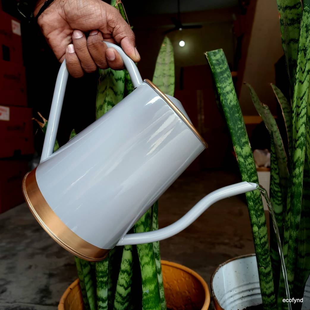ecofynd White 1.5 Litre Metal Watering Can