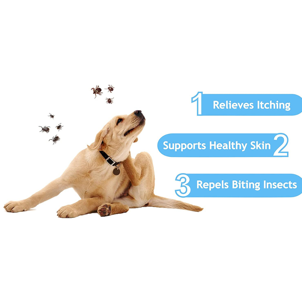 VetSafe Flea and Tick Shampoo (500ml)