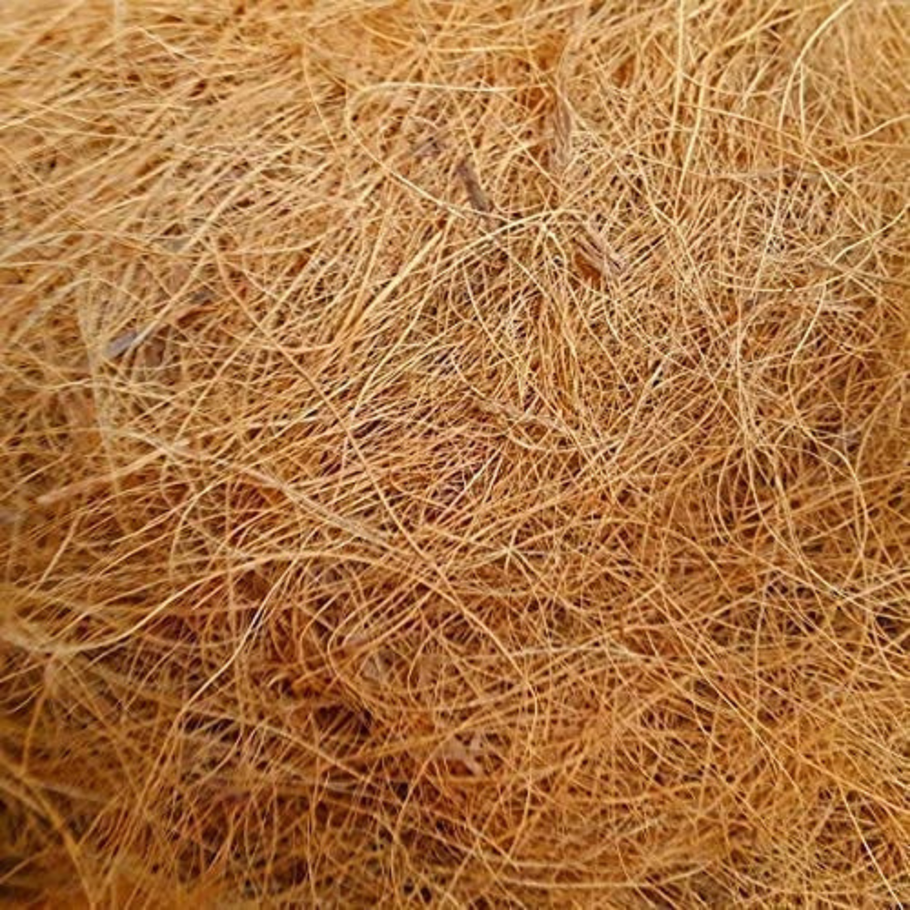 EcoSoft Natural Coconut Fiber Nesting Material for All Birds and Small Animals Sufficient for 4 Bird Nests (Nest fibre) - 250g