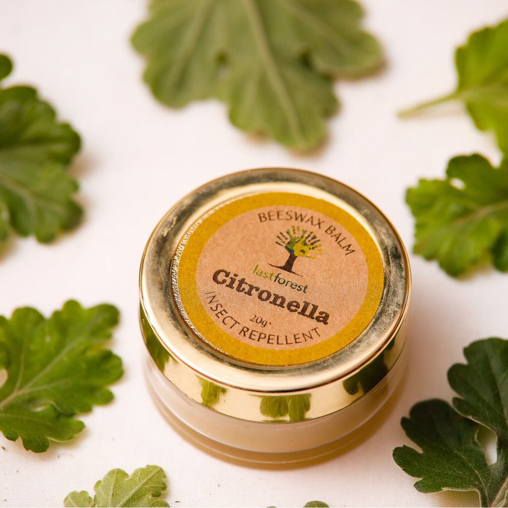 Last Forest Citronella Balm Insect and Mosquito Repellent (20g)