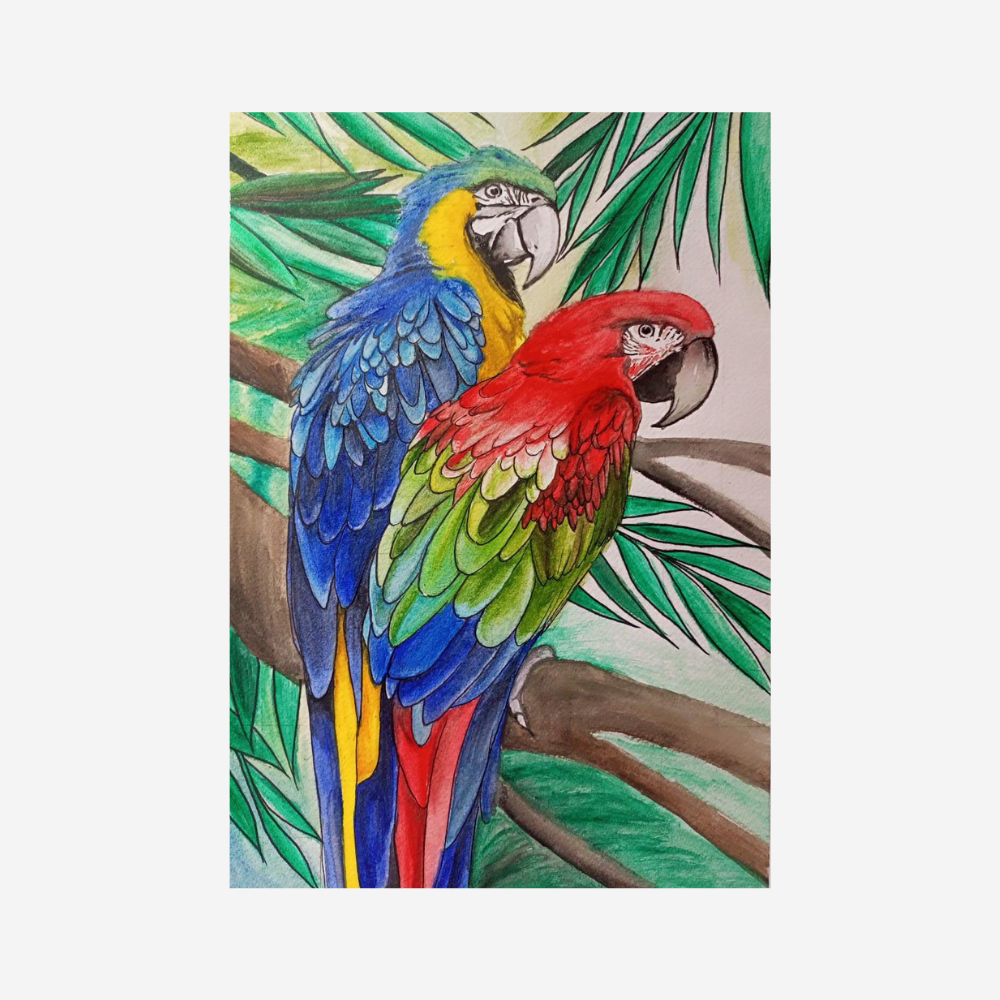 Two Parrots Canvas Painting