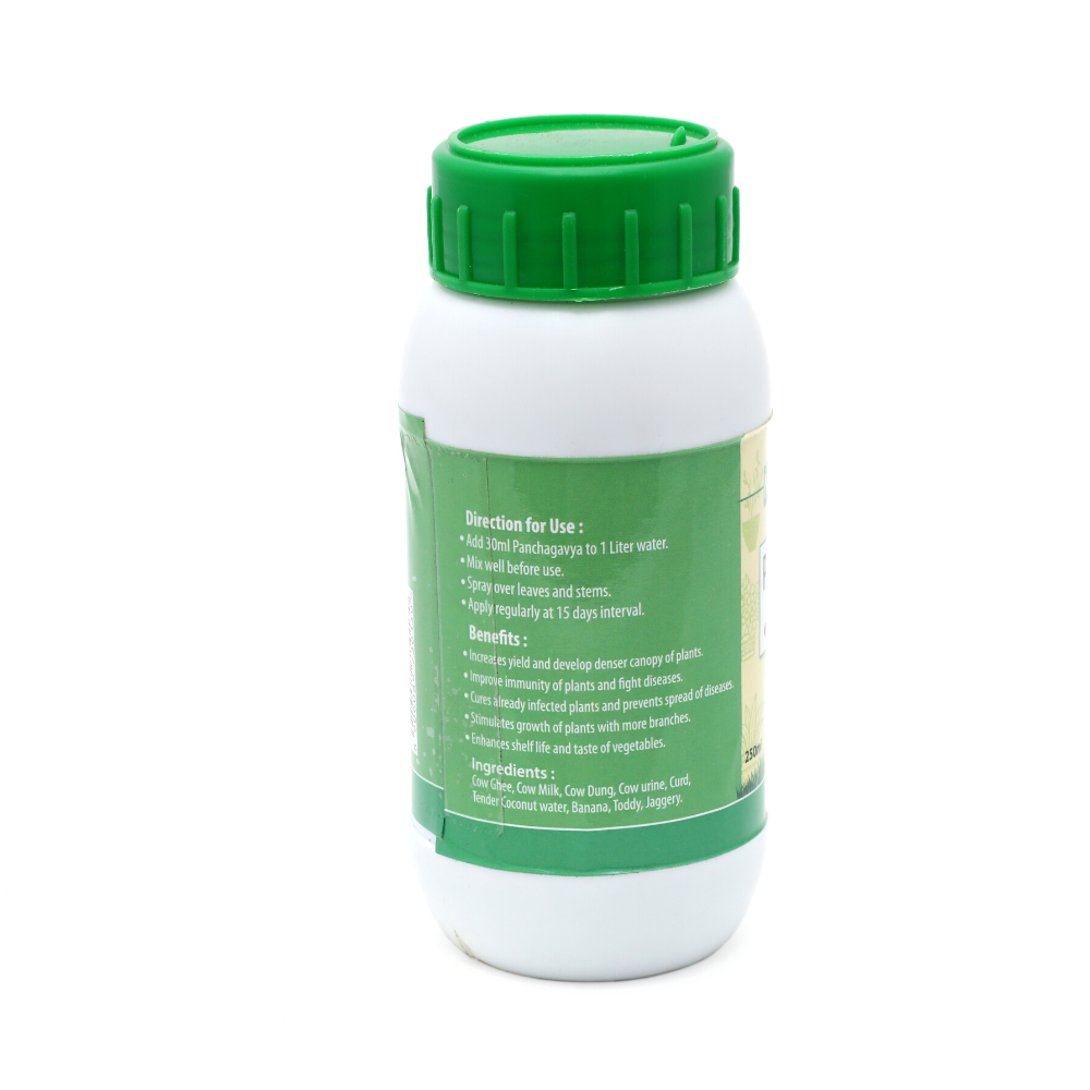 Pachagavya Organic Fertilizer (250ml)