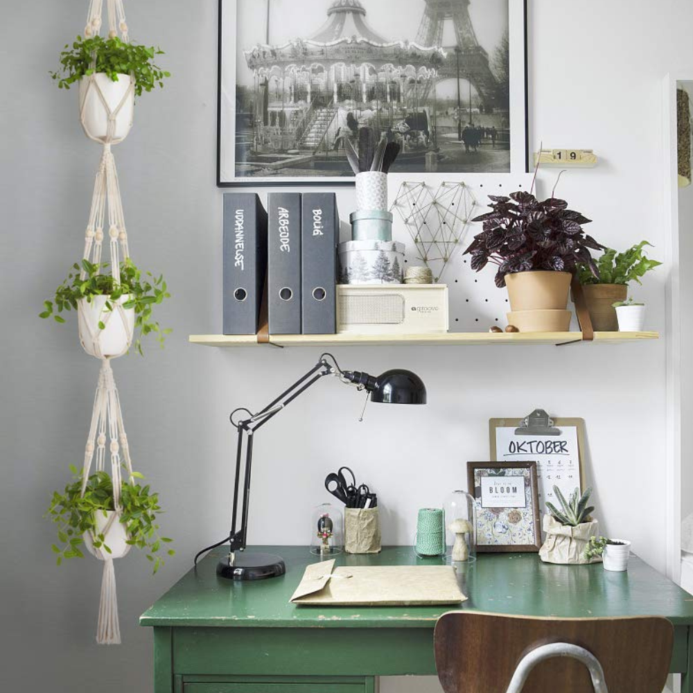 ecofynd Macrame Cotton Plant Hanger
