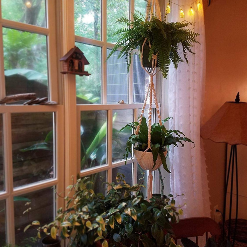 ecofynd Macrame 2 Pot Cotton Plant Hanger