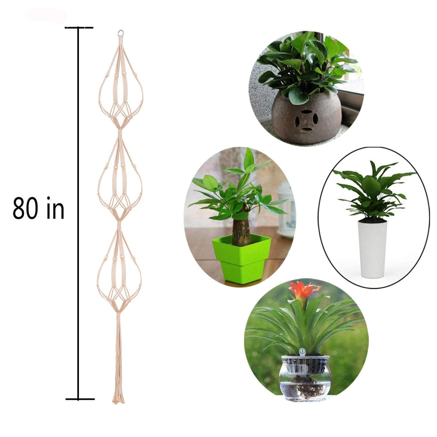 ecofynd Macrame Cotton Plant Hanger