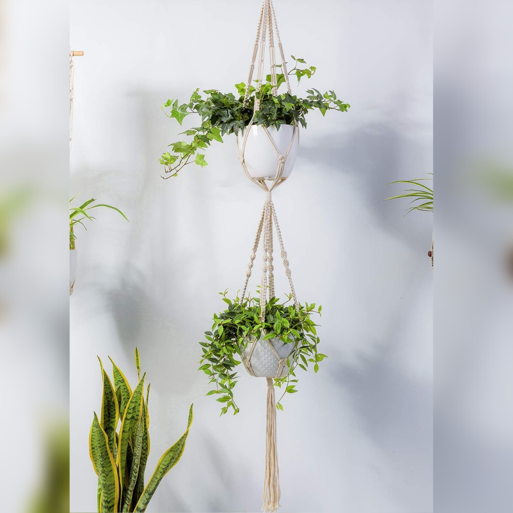 ecofynd Macrame 2 Pot Cotton Plant Hanger