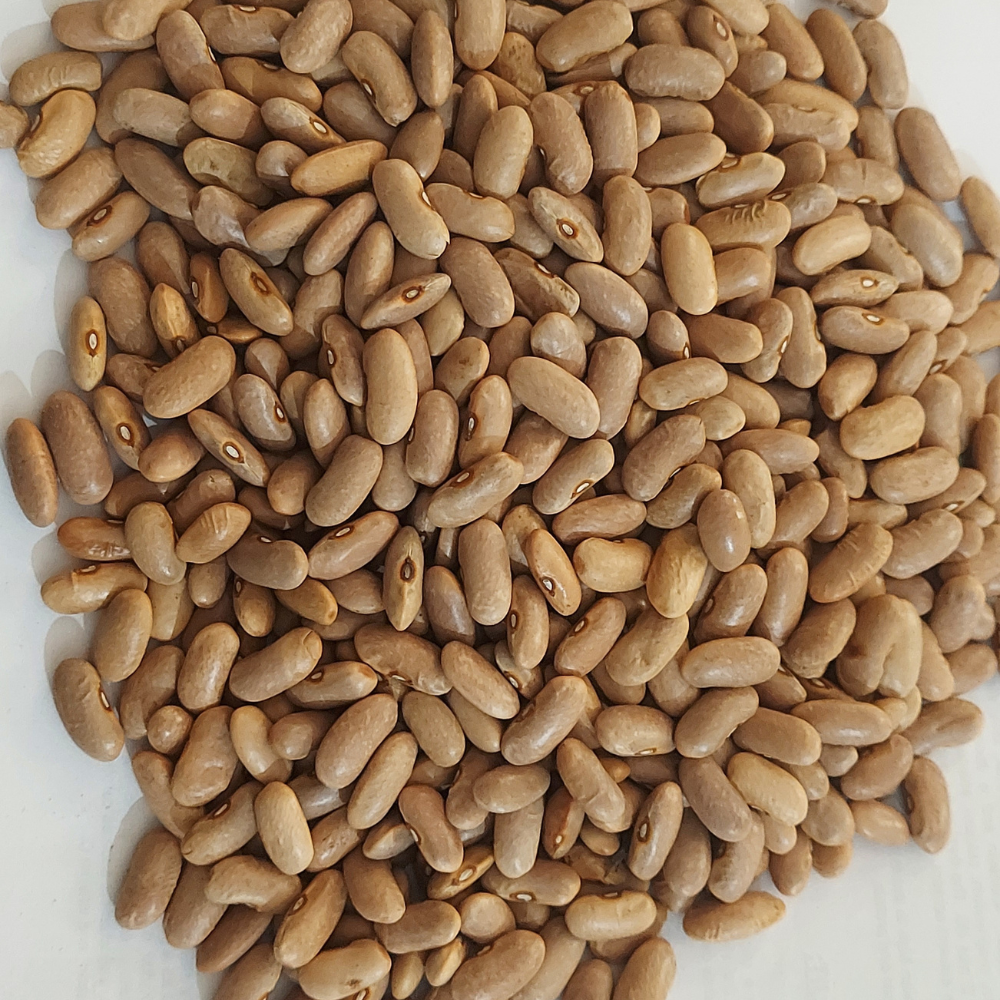 Delicious and nutritious Kinnaur Organic Rajma (500g) - Pack of 2; rich, plump, and ready to cook in just 45 minutes for your next hearty meal. FSSAI Certified.