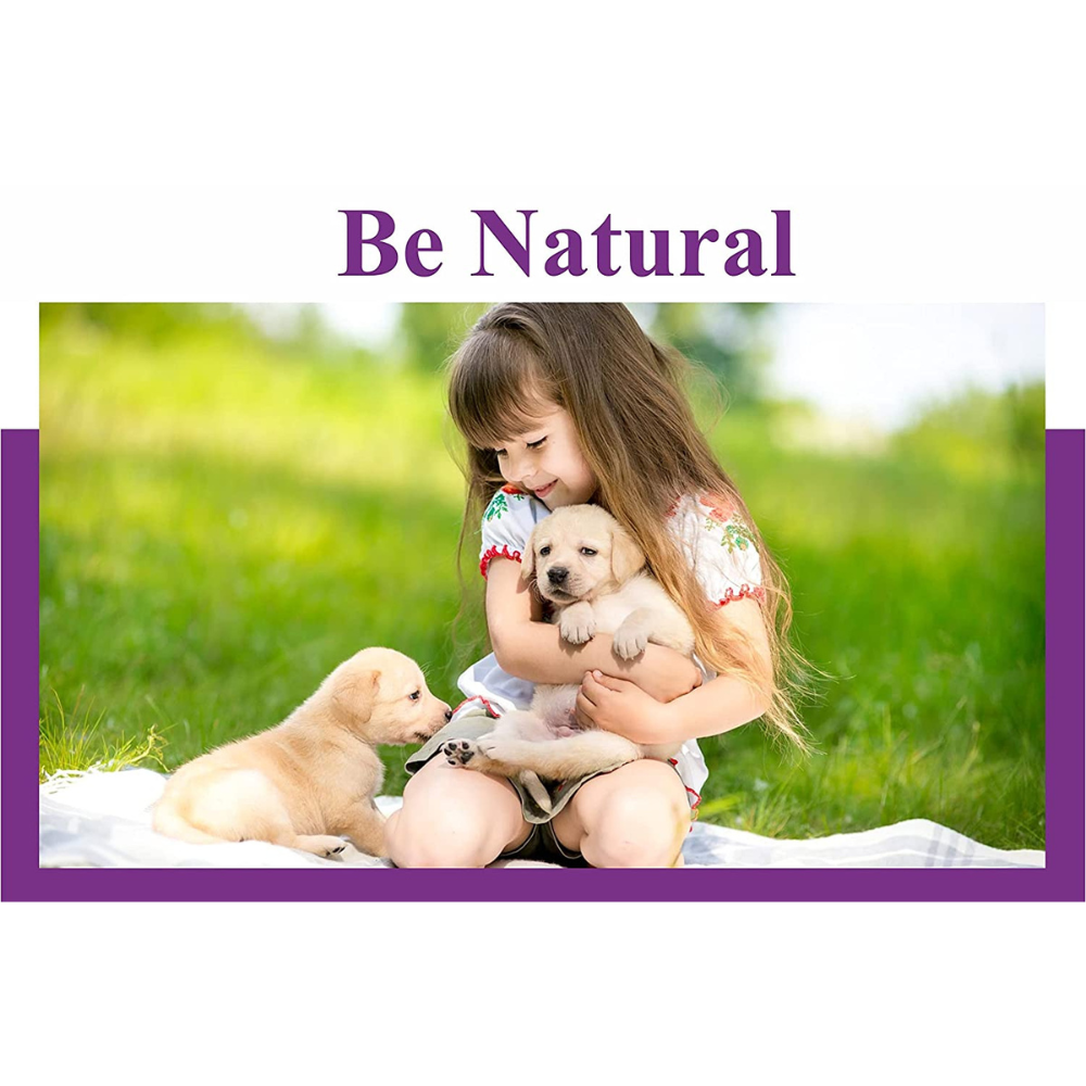 VetSafe Multipurpose Disinfectant Spray (500ml)