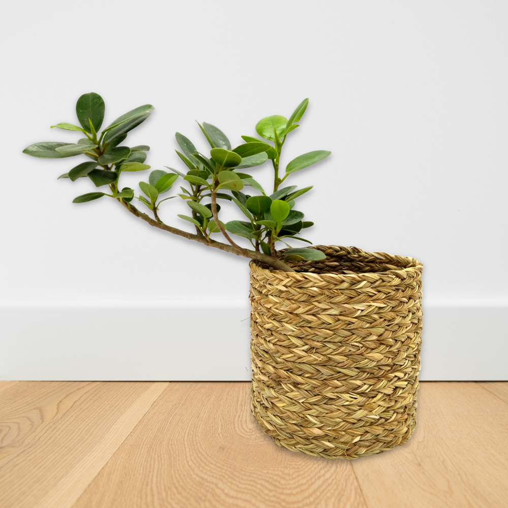 Mini Planter