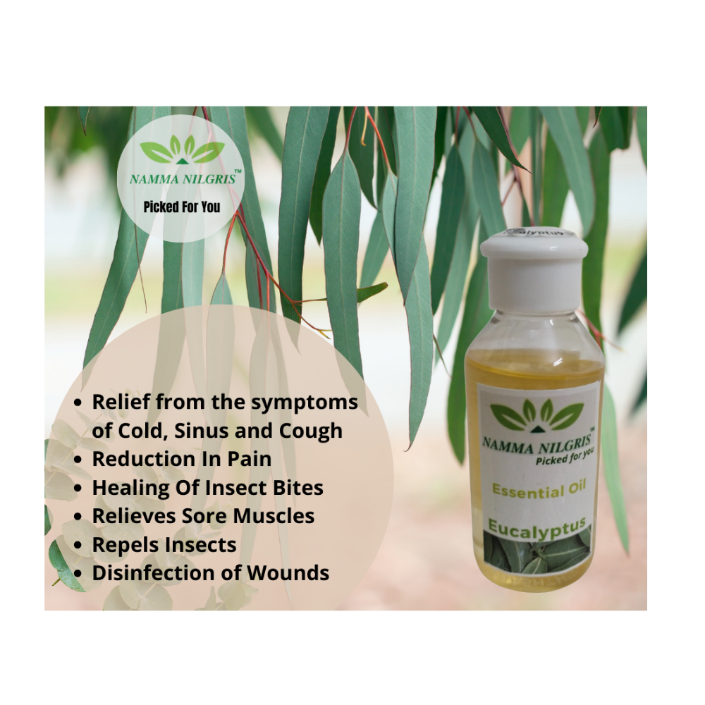 Eucalyptus Oil (50ml)