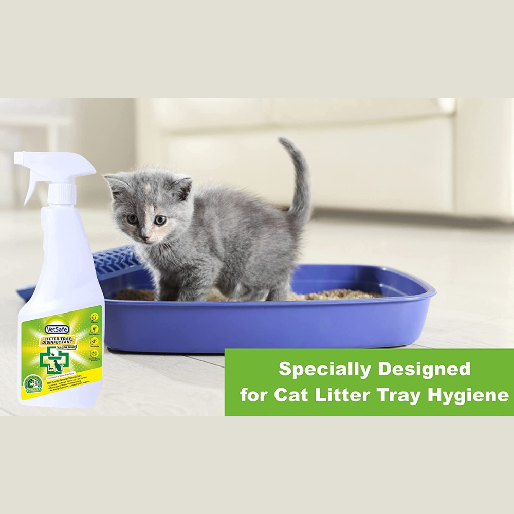 
                  
                    VetSafe Cat Litter Tray Disinfectant (500ml)
                  
                