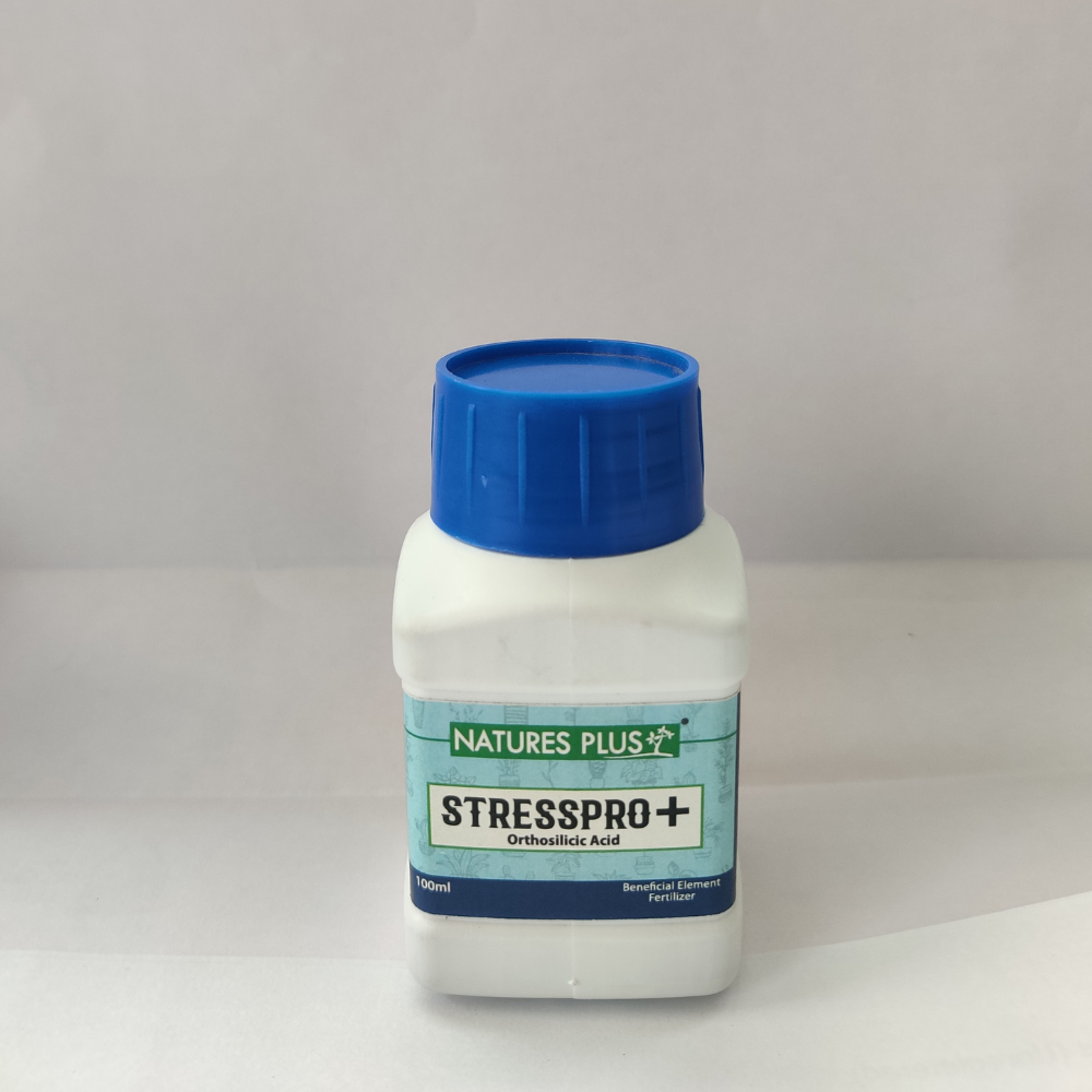Plant Foods & Care Liquid Fertilizers (Pack of 4)