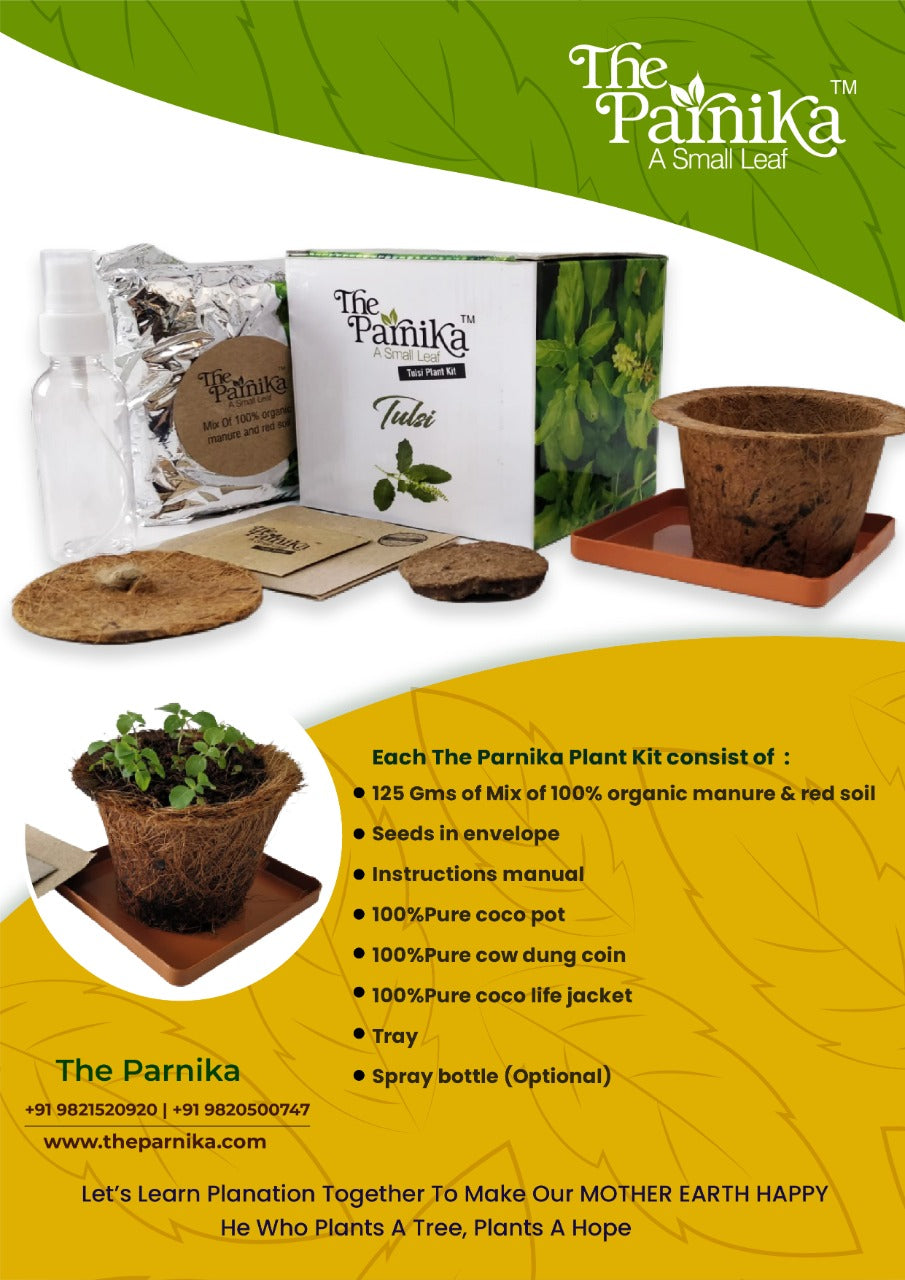 Tulsi Plant Kit